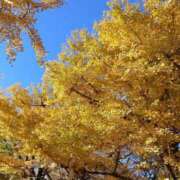 みれい 有難うございました✨ 上野デリヘル倶楽部