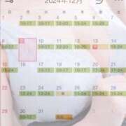 ヒメ日記 2024/12/13 15:22 投稿 あさひ イエスグループ熊本 TSUBAKI(ツバキ)