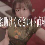 ヒメ日記 2024/12/29 12:30 投稿 あさひ イエスグループ熊本 TSUBAKI(ツバキ)