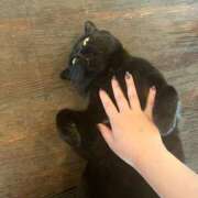 ヒメ日記 2025/02/22 12:05 投稿 あさひ イエスグループ熊本 TSUBAKI(ツバキ)