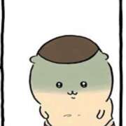 ヒメ日記 2025/05/05 10:15 投稿 あさひ イエスグループ熊本 TSUBAKI(ツバキ)