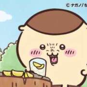 ヒメ日記 2025/05/05 12:10 投稿 あさひ イエスグループ熊本 TSUBAKI(ツバキ)