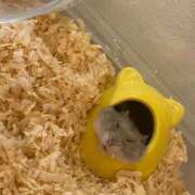 ヒメ日記 2025/09/04 01:30 投稿 あさひ イエスグループ熊本 TSUBAKI(ツバキ)