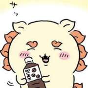 ヒメ日記 2025/09/26 06:00 投稿 あさひ イエスグループ熊本 TSUBAKI(ツバキ)