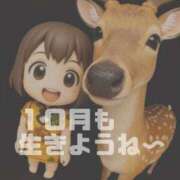 ヒメ日記 2025/10/01 11:00 投稿 あさひ イエスグループ熊本 TSUBAKI(ツバキ)