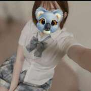 ヒメ日記 2025/10/29 09:02 投稿 あさひ イエスグループ熊本 TSUBAKI(ツバキ)