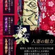 ヒメ日記 2025/11/17 12:05 投稿 あさひ イエスグループ熊本 TSUBAKI(ツバキ)