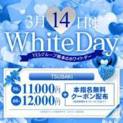 ヒメ日記 2026/03/12 11:01 投稿 あさひ イエスグループ熊本 TSUBAKI(ツバキ)