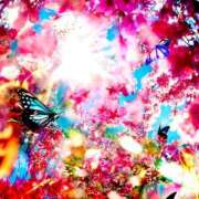 ヒメ日記 2026/03/22 10:17 投稿 あさひ イエスグループ熊本 TSUBAKI(ツバキ)