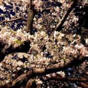 ヒメ日記 2026/04/02 11:27 投稿 あさひ イエスグループ熊本 TSUBAKI(ツバキ)