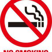 ヒメ日記 2026/04/03 19:30 投稿 あさひ イエスグループ熊本 TSUBAKI(ツバキ)