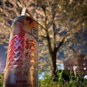 ヒメ日記 2026/04/06 15:03 投稿 あさひ イエスグループ熊本 TSUBAKI(ツバキ)