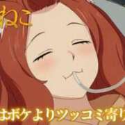 ヒメ日記 2026/08/19 09:02 投稿 あさひ イエスグループ熊本 TSUBAKI(ツバキ)