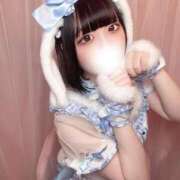 ヒメ日記 2025/11/09 12:04 投稿 むぎ チューリップ福井別館