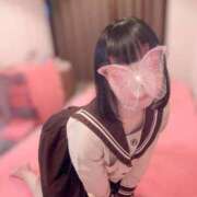 ヒメ日記 2025/11/11 16:34 投稿 むぎ チューリップ福井別館