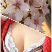 ヒメ日記 2026/03/19 10:38 投稿 のぞみ 甘熟クラブ