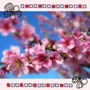 ヒメ日記 2026/02/21 22:38 投稿 ふうか 熟女の風俗最終章 高崎店