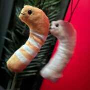 ヒメ日記 2025/08/09 00:27 投稿 のあ OOPS(オップス)