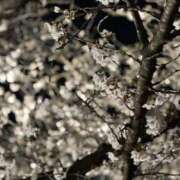 ヒメ日記 2025/04/13 18:39 投稿 雪乃（ゆきの） エスペランサ新館