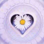 ヒメ日記 2024/12/21 15:10 投稿 水島 ここみ こあくまな熟女たち沼津店（KOAKUMAグループ）