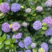 ヒメ日記 2025/06/07 20:55 投稿 水島 ここみ こあくまな熟女たち沼津店（KOAKUMAグループ）