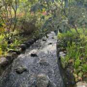 ヒメ日記 2025/06/09 15:39 投稿 水島 ここみ こあくまな熟女たち沼津店（KOAKUMAグループ）