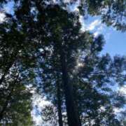 ヒメ日記 2025/06/28 21:00 投稿 水島 ここみ こあくまな熟女たち沼津店（KOAKUMAグループ）