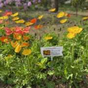 ヒメ日記 2025/10/24 22:11 投稿 水島 ここみ こあくまな熟女たち沼津店（KOAKUMAグループ）