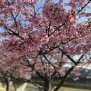 水島 ここみ 出勤しました こあくまな熟女たち沼津店（KOAKUMAグループ）