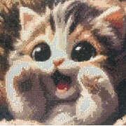 ヒメ日記 2025/05/29 16:22 投稿 きみえ モアグループ川越人妻花壇