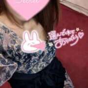 ヒメ日記 2025/01/24 23:20 投稿 らん Mrs Sirena（ミセスシレナ）