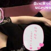 ヒメ日記 2025/02/08 10:18 投稿 らん Mrs Sirena（ミセスシレナ）