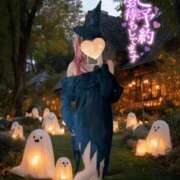 ヒメ日記 2025/10/31 13:28 投稿 らん Mrs Sirena（ミセスシレナ）