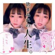 ヒメ日記 2025/05/08 18:01 投稿 とあ ピュアコス学園