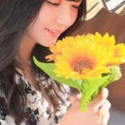 ヒメ日記 2025/08/01 14:06 投稿 とあ ピュアコス学園