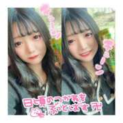 ヒメ日記 2025/08/18 14:10 投稿 とあ ピュアコス学園