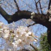 ヒメ日記 2025/03/27 20:10 投稿 あおば 錦糸町人妻セレブリティ（ユメオト）