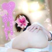 ヒメ日記 2025/05/03 17:18 投稿 あおば 錦糸町人妻セレブリティ（ユメオト）