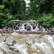 ヒメ日記 2025/08/16 22:38 投稿 あおば 錦糸町人妻セレブリティ（ユメオト）