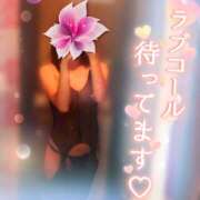 ヒメ日記 2025/10/18 00:04 投稿 あおば 錦糸町人妻セレブリティ（ユメオト）