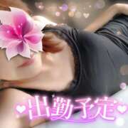 ヒメ日記 2025/11/09 20:14 投稿 あおば 錦糸町人妻セレブリティ（ユメオト）