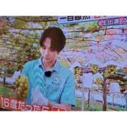 ヒメ日記 2026/09/15 18:37 投稿 文月 楓 30代40代50代と遊ぶなら博多人妻専科24時