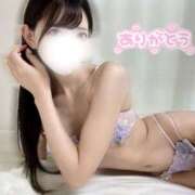 ヒメ日記 2025/08/15 11:43 投稿 きらり Number Five 品川（シンデレラグループ）