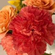 ヒメ日記 2025/03/24 11:46 投稿 咲（サキ） アバンチュール(五反田)