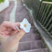 ヒメ日記 2025/04/12 19:02 投稿 永瀬 鶯谷人妻城