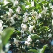 ヒメ日記 2025/11/02 09:22 投稿 永瀬 鶯谷人妻城