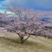 ヒメ日記 2025/04/06 17:44 投稿 ゆい 成田人妻花壇