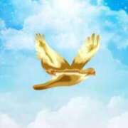 ヒメ日記 2025/01/08 22:20 投稿 みき Ｓ＆Ｍ　極嬢