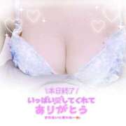 ヒメ日記 2025/01/24 21:52 投稿 みき Ｓ＆Ｍ　極嬢