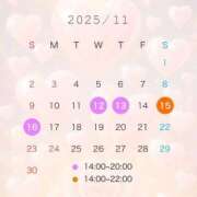 ヒメ日記 2025/11/09 08:20 投稿 みき Ｓ＆Ｍ　極嬢